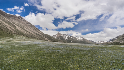 Alpine meadows in Kyrgyzstan